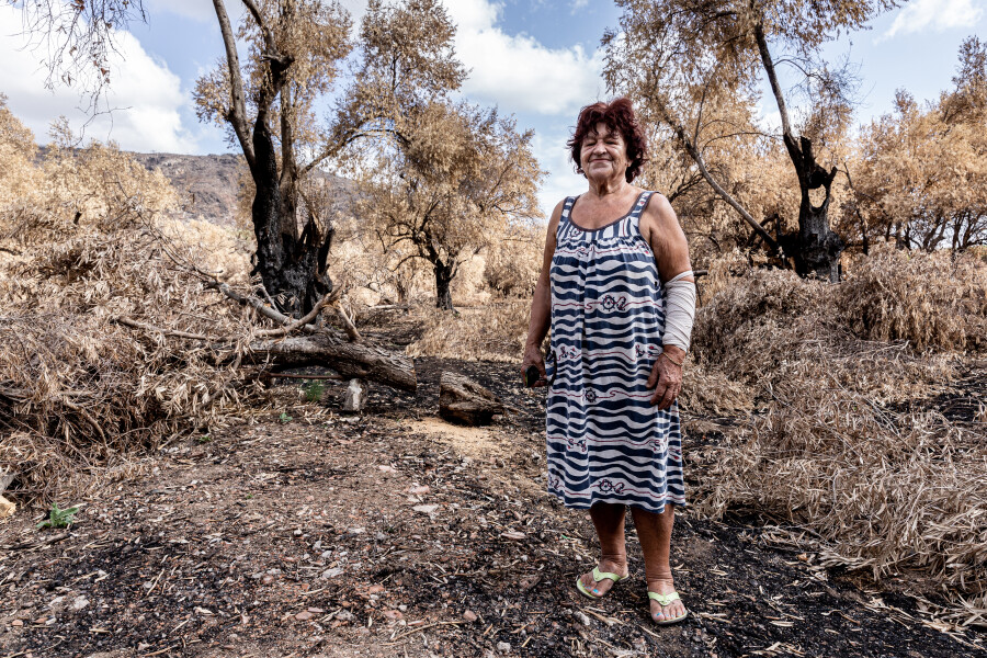 Greek island of Evia strangles with aftermath of wildfires and drought