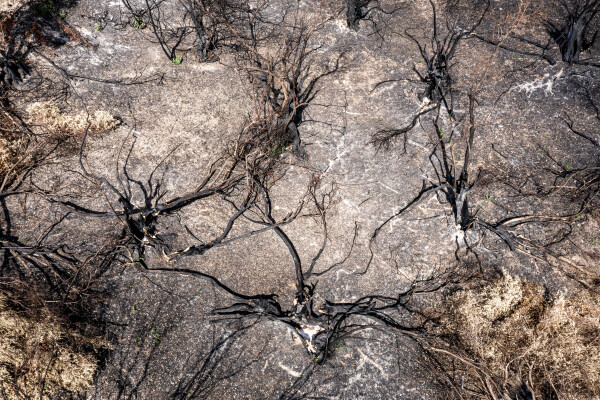 Greek island of Evia strangles with aftermath of wildfires and drought